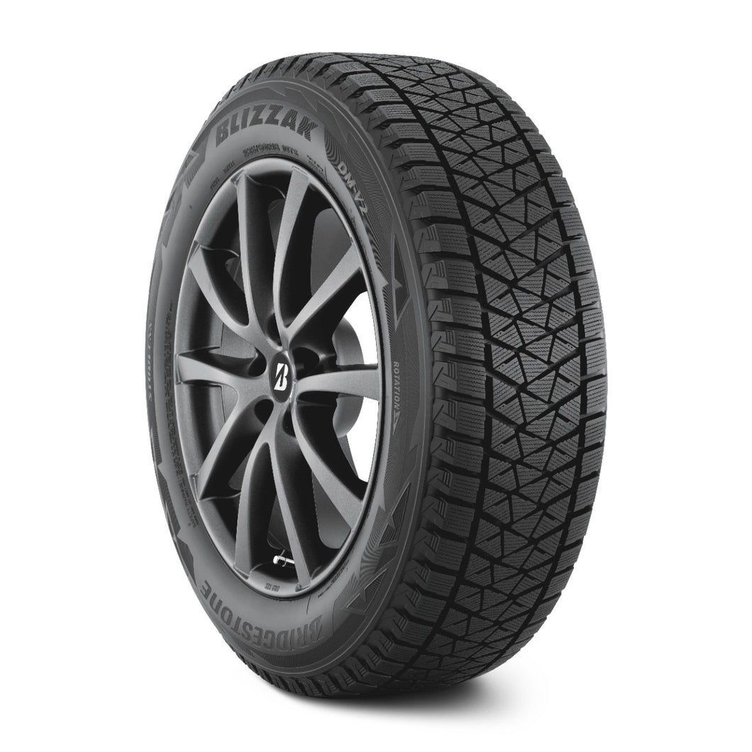 Bridgestone BLIZZAK DM-V2